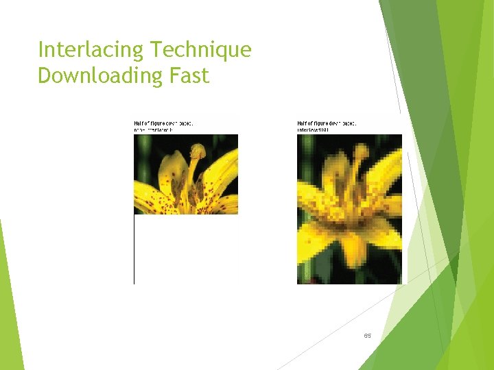Interlacing Technique Downloading Fast 65 