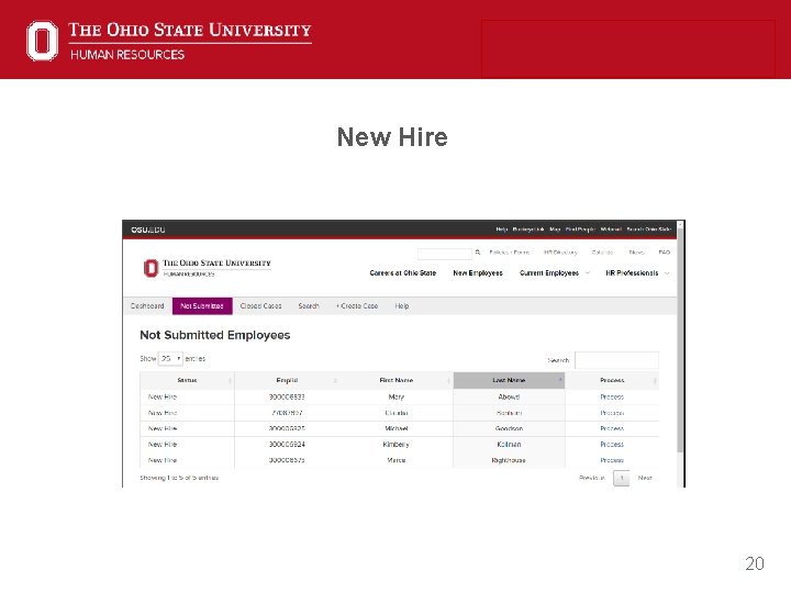 New Hire 20 