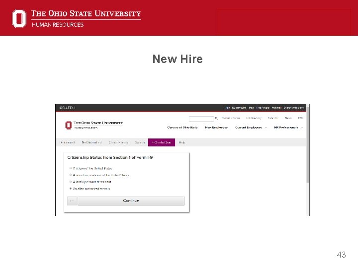 New Hire 43 