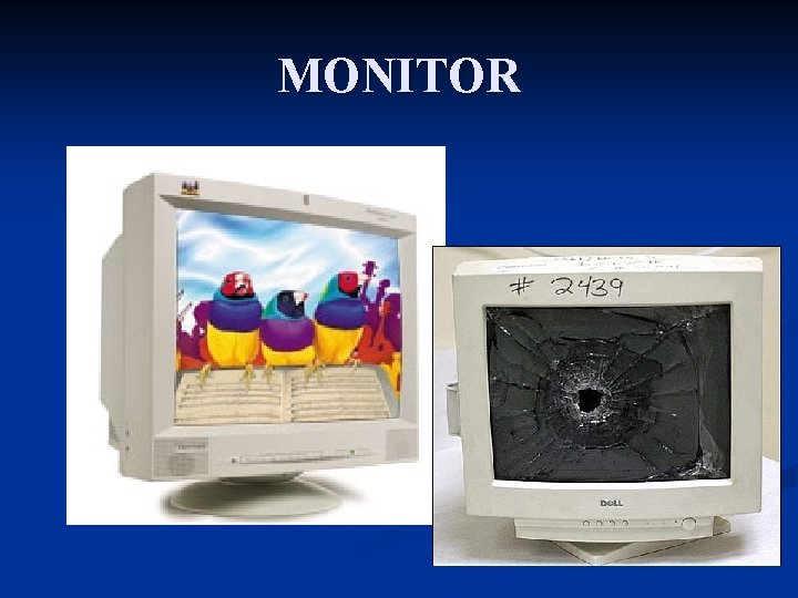 MONITOR 