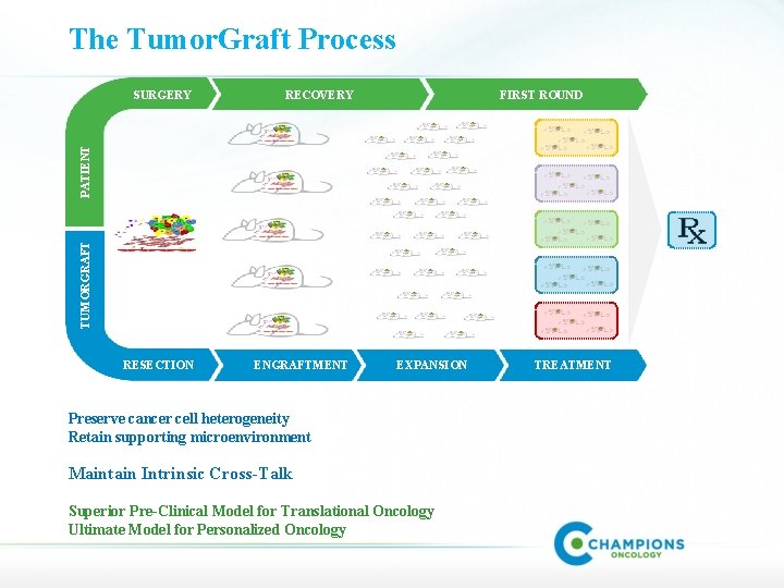 The Tumor. Graft Process RECOVERY FIRST ROUND TUMORGRAFT PATIENT SURGERY RESECTION ENGRAFTMENT EXPANSION Preserve