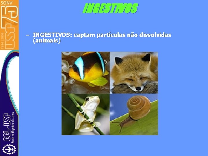 INGESTIVOS • – INGESTIVOS: captam partículas não dissolvidas (animais) 