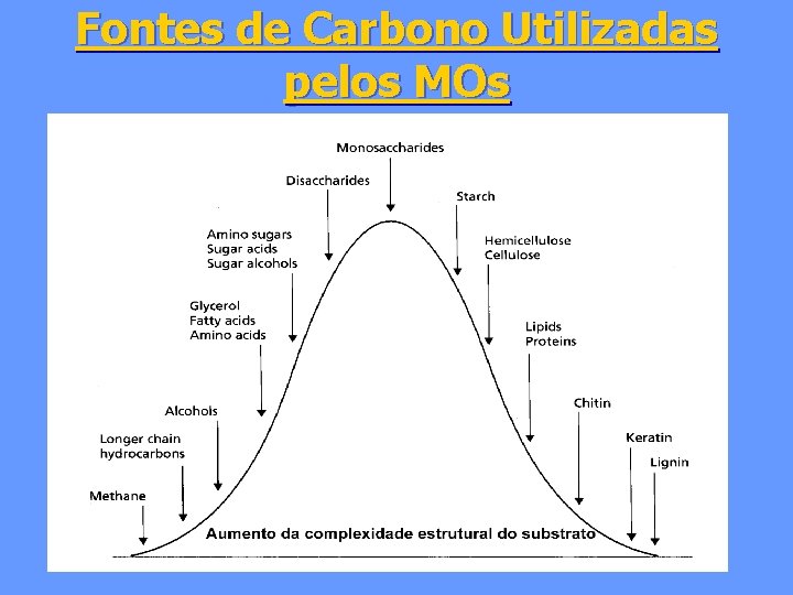 Fontes de Carbono Utilizadas pelos MOs 