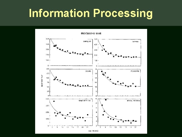 Information Processing 