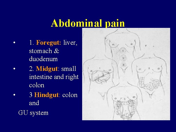 Abdominal pain • 1. Foregut: liver, stomach & duodenum • 2. Midgut: small intestine