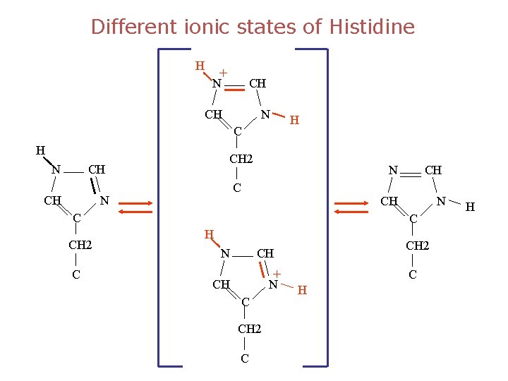 Different ionic states of Histidine H + N CH CH N H C H