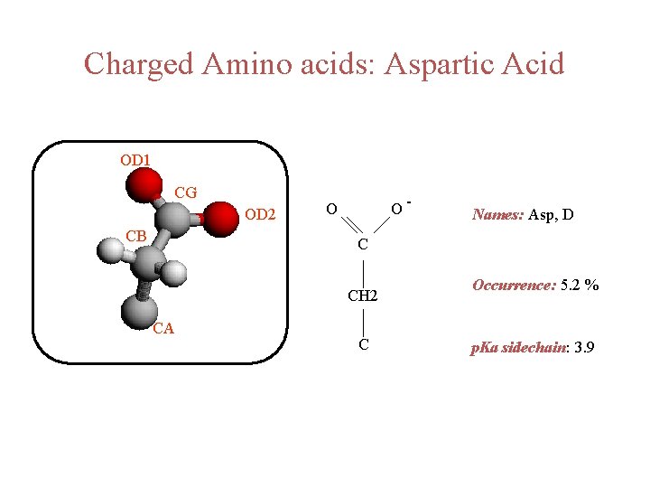 Charged Amino acids: Aspartic Acid OD 1 CG OD 2 CB O- O Names: