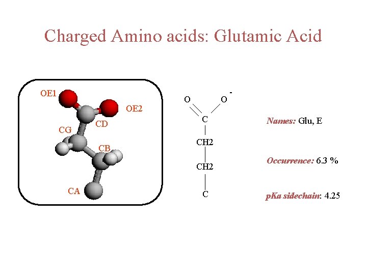 Charged Amino acids: Glutamic Acid OE 1 OE 2 CG CD CB O O