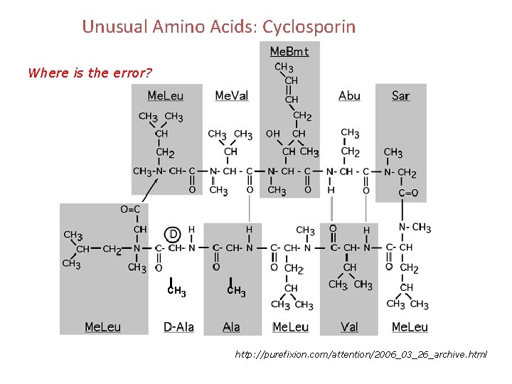 Unusual Amino Acids: Cyclosporin Where is the error? CH 3 http: //purefixion. com/attention/2006_03_26_archive. html