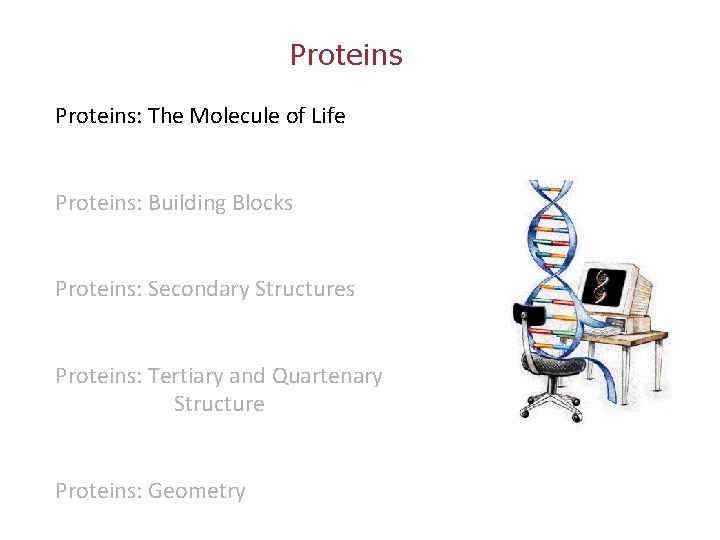 Proteins: The Molecule of Life Proteins: Building Blocks Proteins: Secondary Structures Proteins: Tertiary and