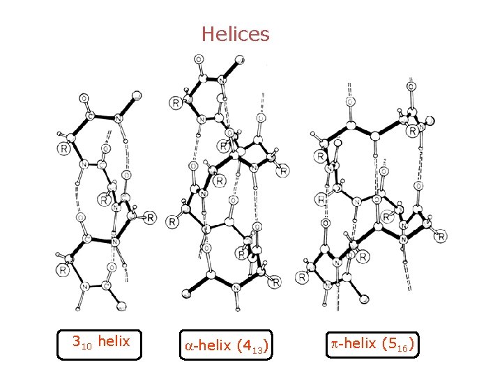 Helices 310 helix a-helix (413) p-helix (516) 