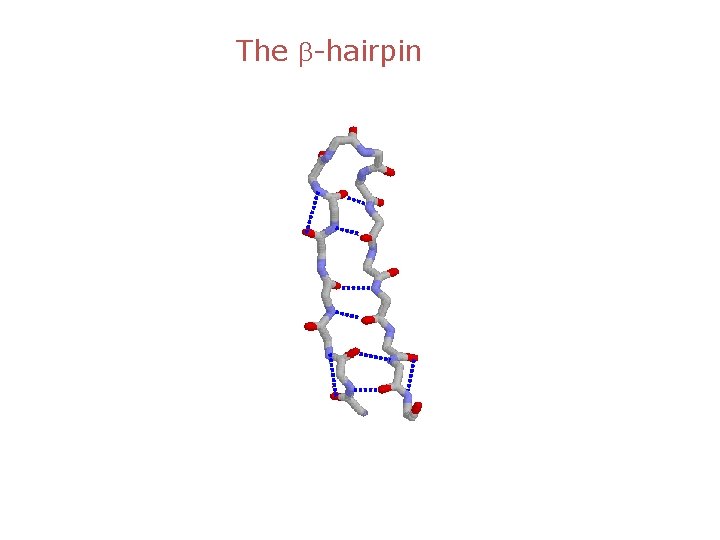 The b-hairpin 