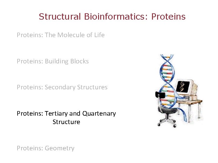 Structural Bioinformatics: Proteins: The Molecule of Life Proteins: Building Blocks Proteins: Secondary Structures Proteins: