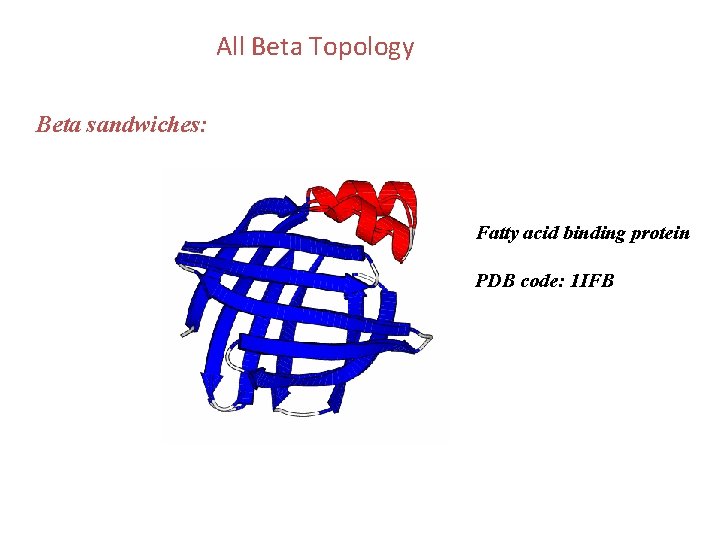 All Beta Topology Beta sandwiches: Fatty acid binding protein PDB code: 1 IFB 