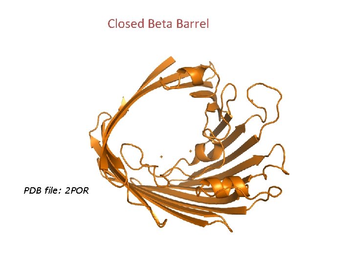 Closed Beta Barrel PDB file: 2 POR 