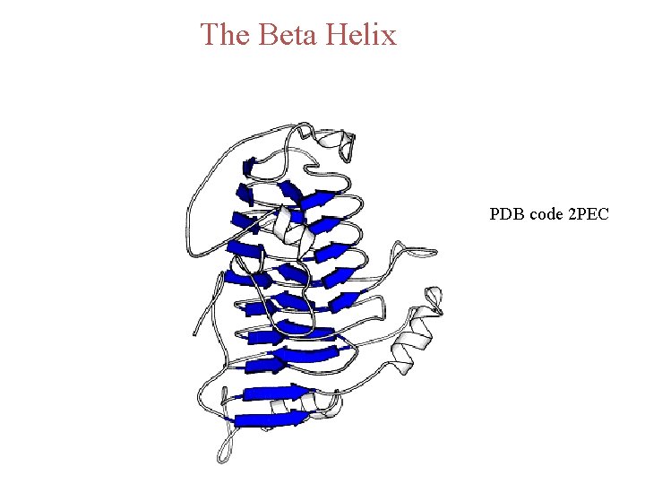 The Beta Helix PDB code 2 PEC 