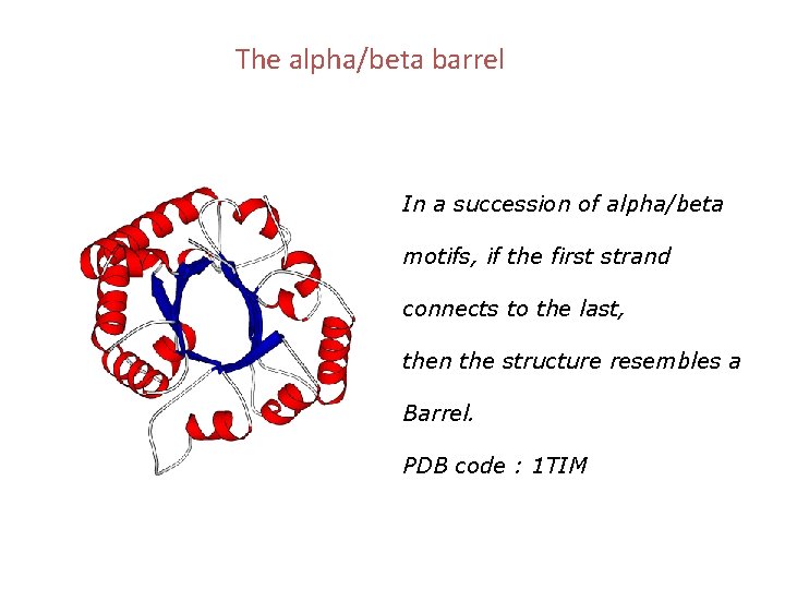 The alpha/beta barrel In a succession of alpha/beta motifs, if the first strand connects