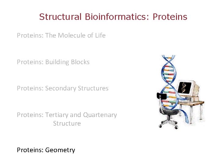 Structural Bioinformatics: Proteins: The Molecule of Life Proteins: Building Blocks Proteins: Secondary Structures Proteins: