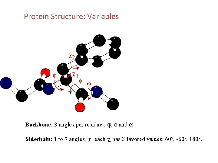 Protein Structure: Variables Backbone: 3 angles per residue : j, f and w Sidechain: