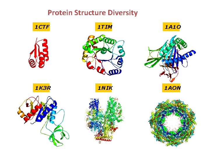 Protein Structure Diversity 1 CTF 1 TIM 1 A 1 O 1 K 3