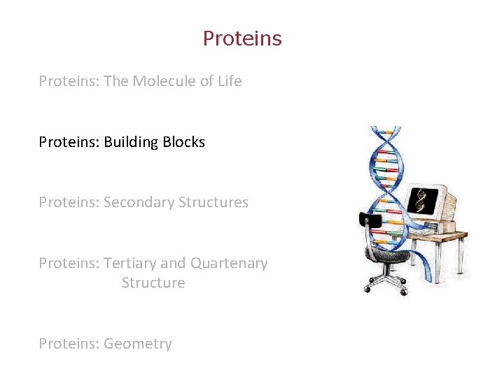 Proteins: The Molecule of Life Proteins: Building Blocks Proteins: Secondary Structures Proteins: Tertiary and