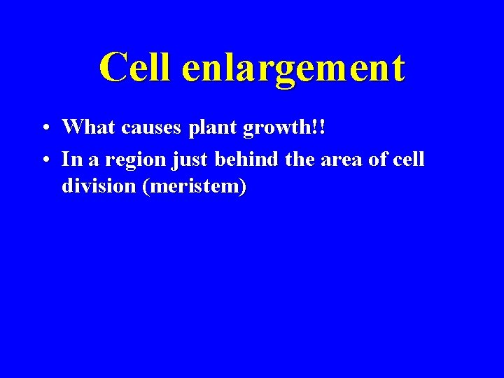 Cell enlargement • What causes plant growth!! • In a region just behind the