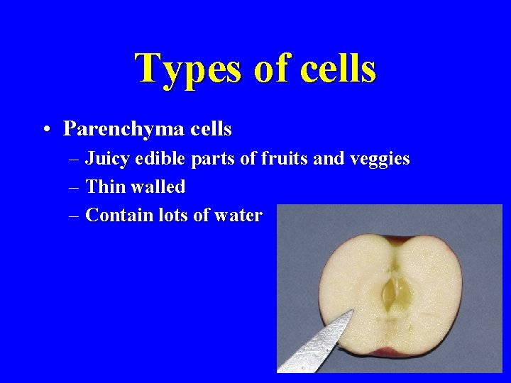 Types of cells • Parenchyma cells – Juicy edible parts of fruits and veggies