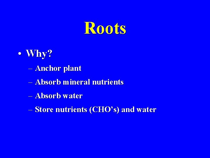 Roots • Why? – Anchor plant – Absorb mineral nutrients – Absorb water –