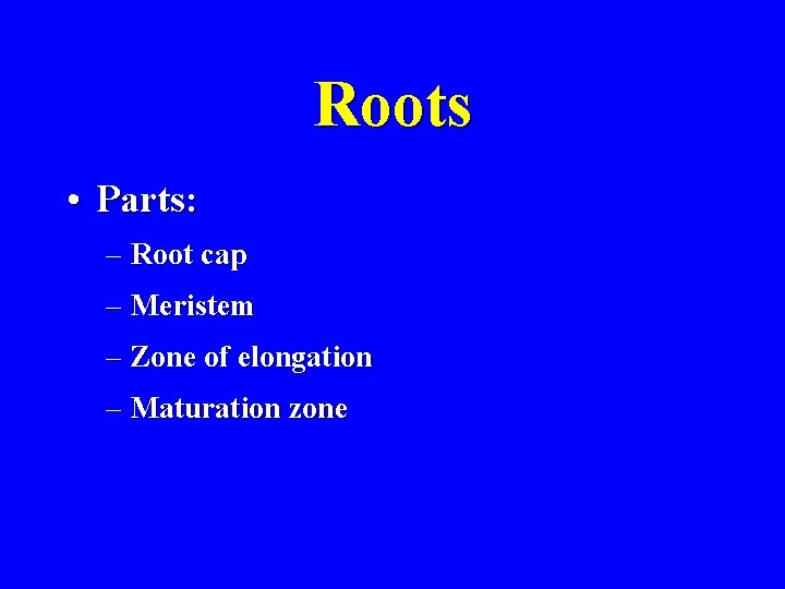 Roots • Parts: – Root cap – Meristem – Zone of elongation – Maturation
