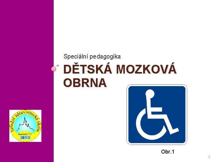 Speciální pedagogika DĚTSKÁ MOZKOVÁ OBRNA Obr. 1 3 