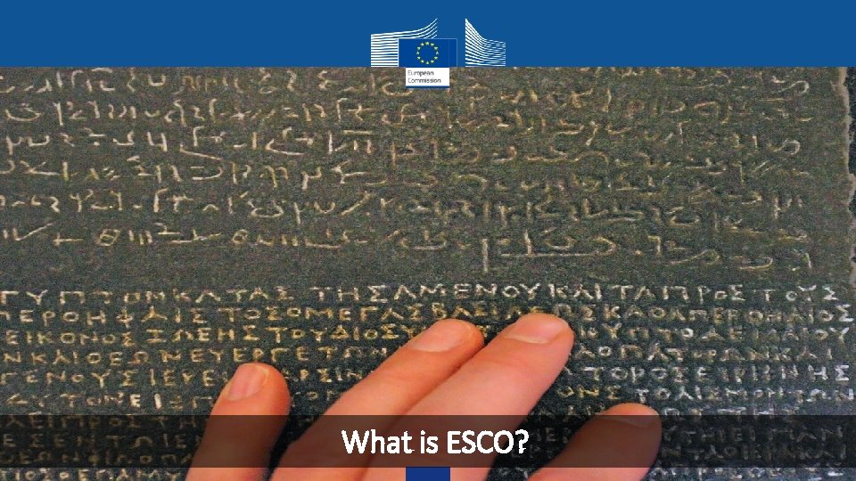 What is ESCO? 