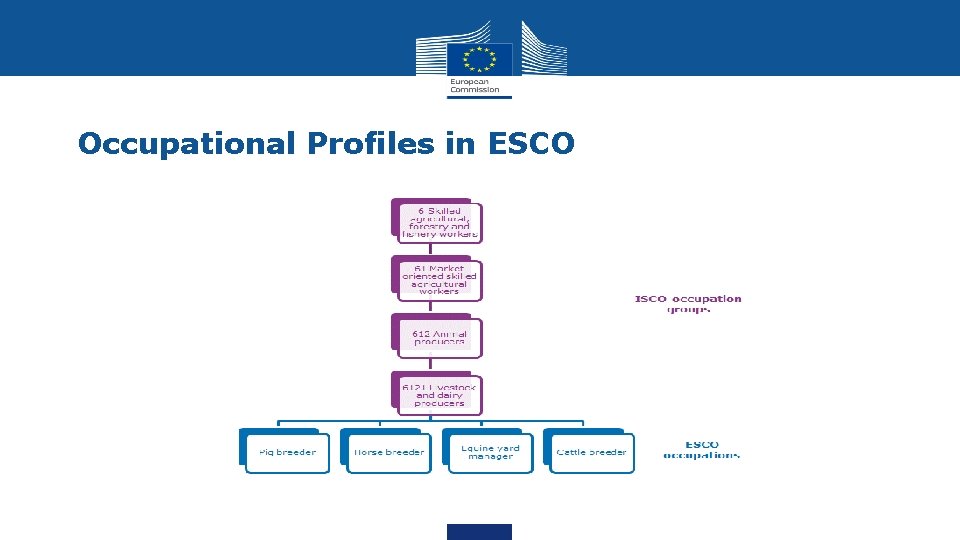 Occupational Profiles in ESCO 
