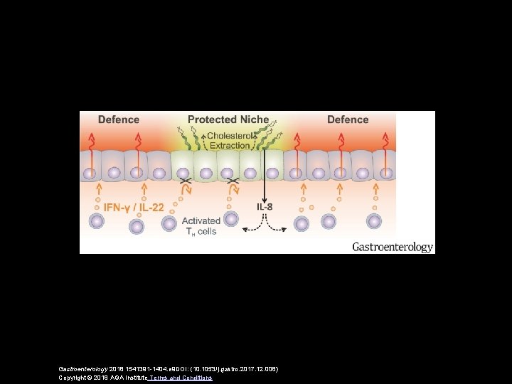 Gastroenterology 2018 1541391 -1404. e 9 DOI: (10. 1053/j. gastro. 2017. 12. 008) Copyright