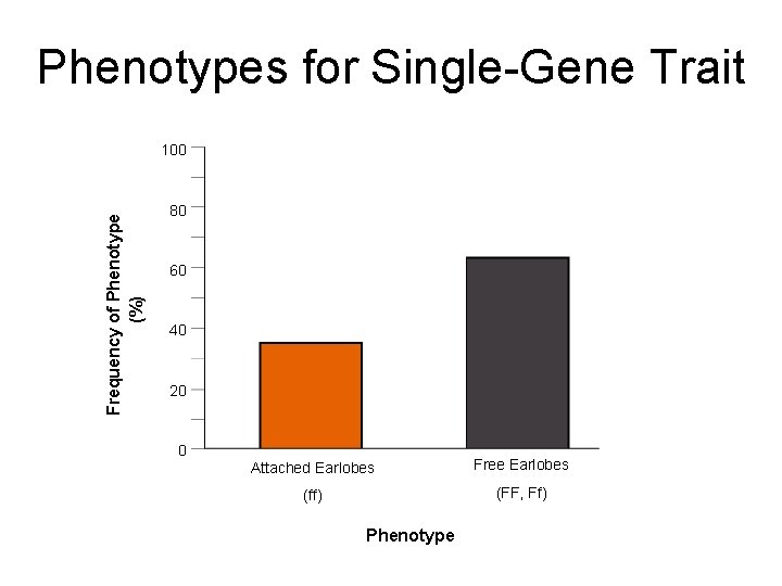 Phenotypes for Single-Gene Trait Frequency of Phenotype (%) 100 80 60 40 20 0