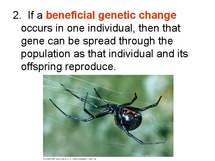 2. If a beneficial genetic change occurs in one individual, then that gene can