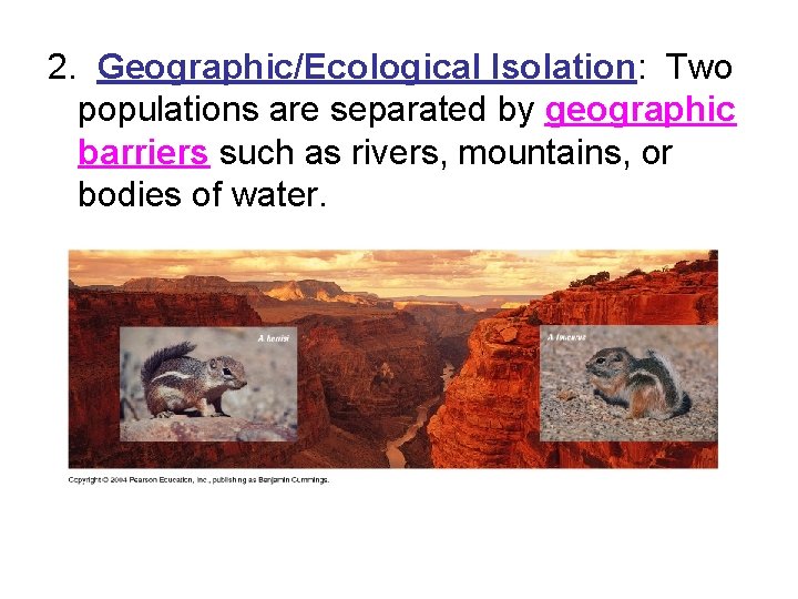 2. Geographic/Ecological Isolation: Two populations are separated by geographic barriers such as rivers, mountains,