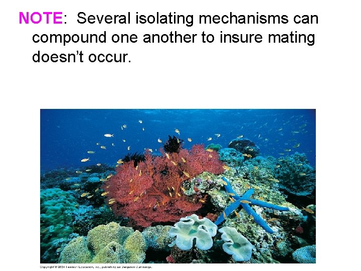 NOTE: Several isolating mechanisms can compound one another to insure mating doesn’t occur. 