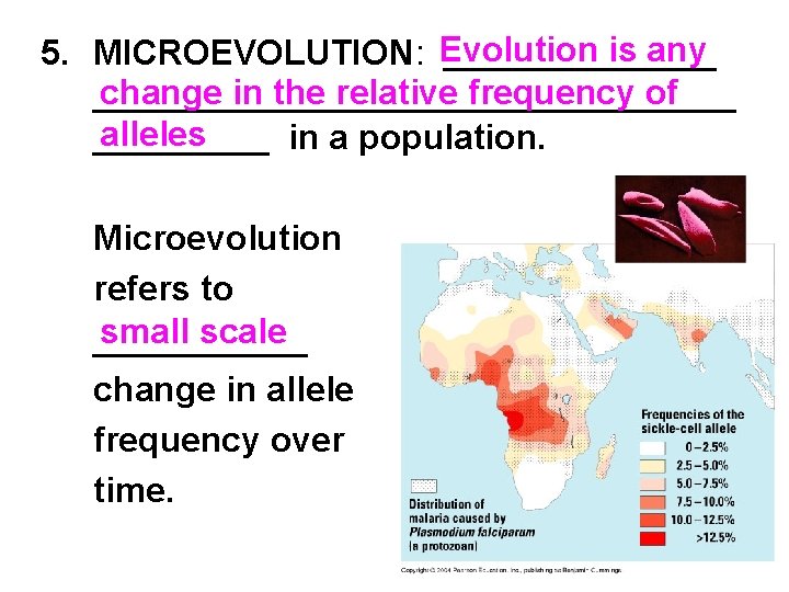  Evolution is any 5. MICROEVOLUTION: _______ change in the relative frequency of _________________
