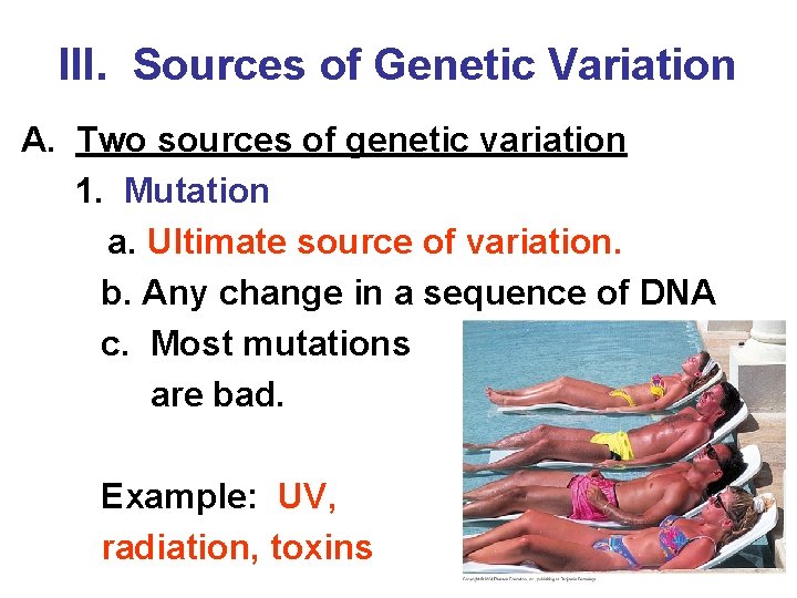 III. Sources of Genetic Variation A. Two sources of genetic variation 1. Mutation a.