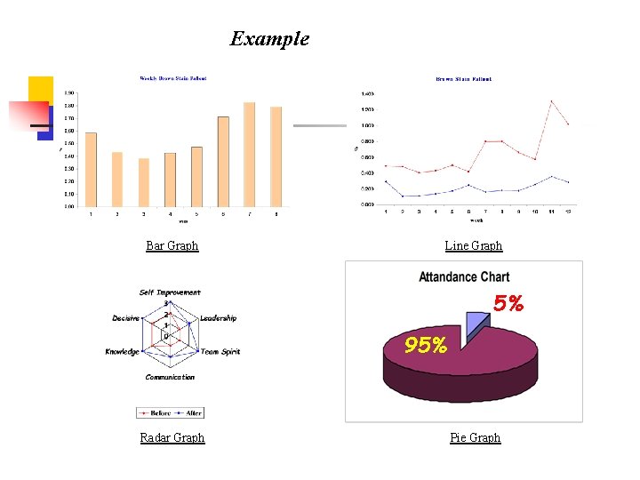 Example Bar Graph Line Graph 5% 95% Radar Graph Pie Graph 