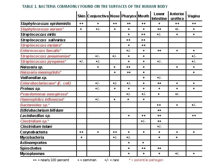 TABLE 1. BACTERIA COMMONLY FOUND ON THE SURFACES OF THE HUMAN BODY Skin Conjunctiva