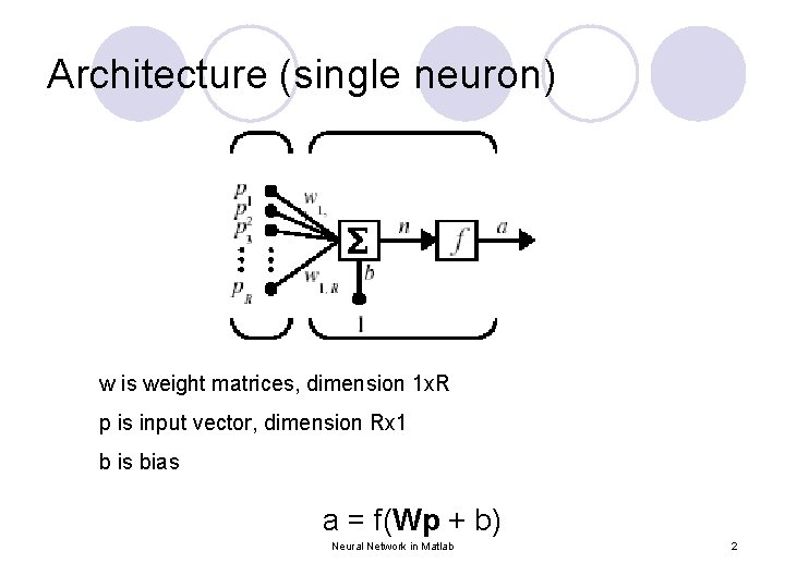 Architecture (single neuron) w is weight matrices, dimension 1 x. R p is input