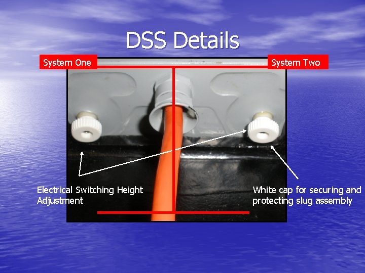 DSS Details System One Electrical Switching Height Adjustment System Two White cap for securing