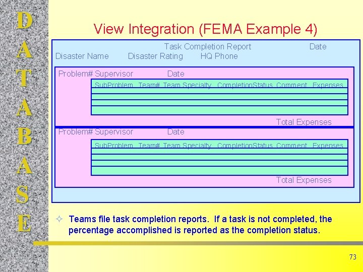 D A T A B A S E View Integration (FEMA Example 4) Disaster