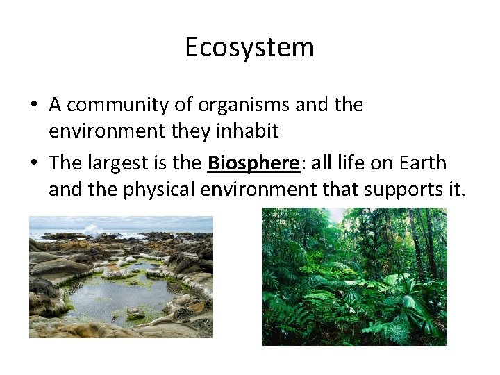 Ecosystem • A community of organisms and the environment they inhabit • The largest