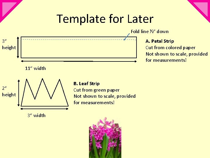 Template for Later Fold line ½” down 3” height A. Petal Strip Cut from