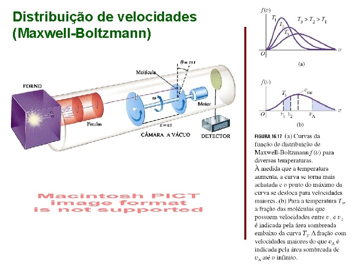 Distribuição de velocidades (Maxwell-Boltzmann) 