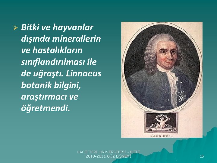 Ø Bitki ve hayvanlar dışında minerallerin ve hastalıkların sınıflandırılması ile de uğraştı. Linnaeus botanik