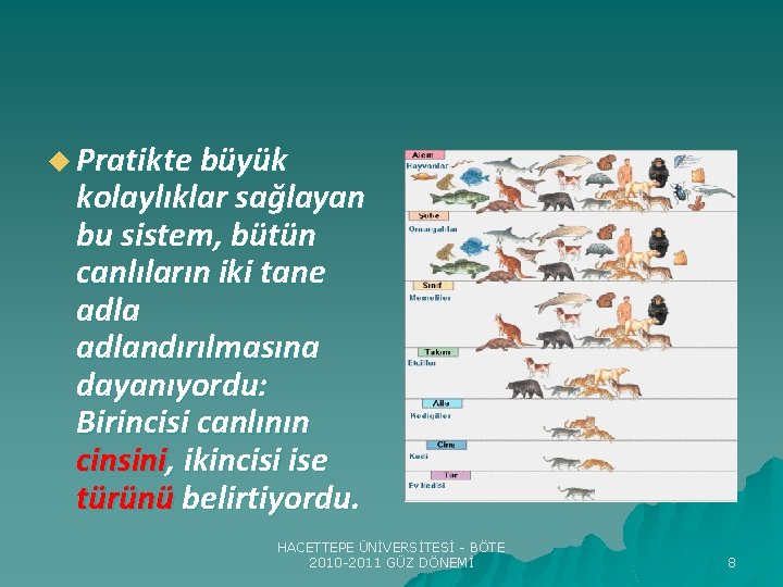 u Pratikte büyük kolaylıklar sağlayan bu sistem, bütün canlıların iki tane adlandırılmasına dayanıyordu: Birincisi