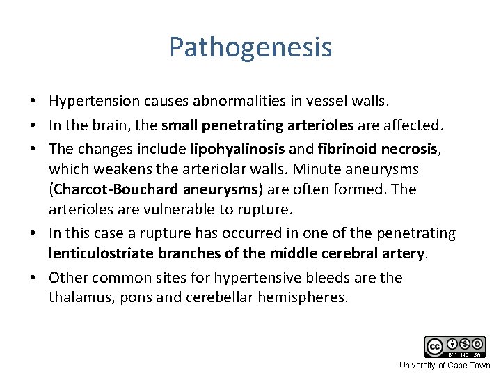 Pathogenesis • Hypertension causes abnormalities in vessel walls. • In the brain, the small